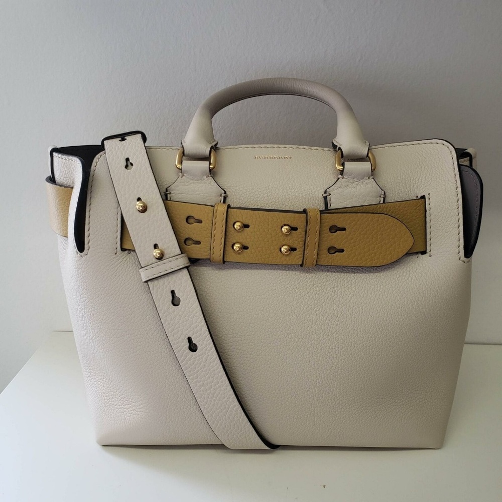 Burberry Small Marais Belt Bag - Beige with Yellow - Picture 2 of 8